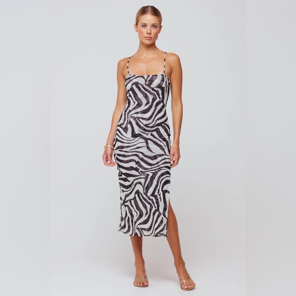 NWT. RESA KIELE MESH DRESS IN TIGRIS - Picture 1 of 3